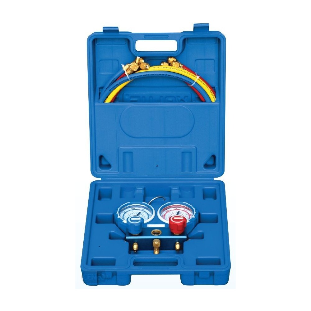 Value VMG-2-R22 pressure gauge set