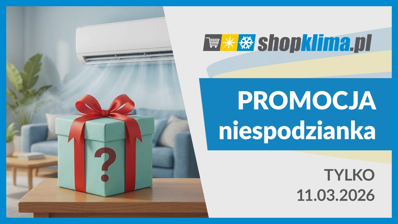 Promocja niespodzianka